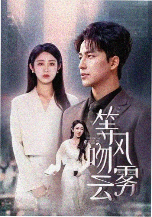 雾港档案犯罪剧全集中文字幕在线观看