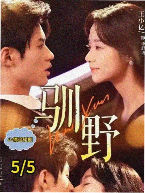 第九个证人律政剧全集中文字幕在线观看